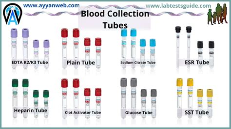 use of hard test tube|what does a test tube do.